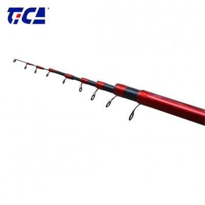 TICA Wonder River Bolo