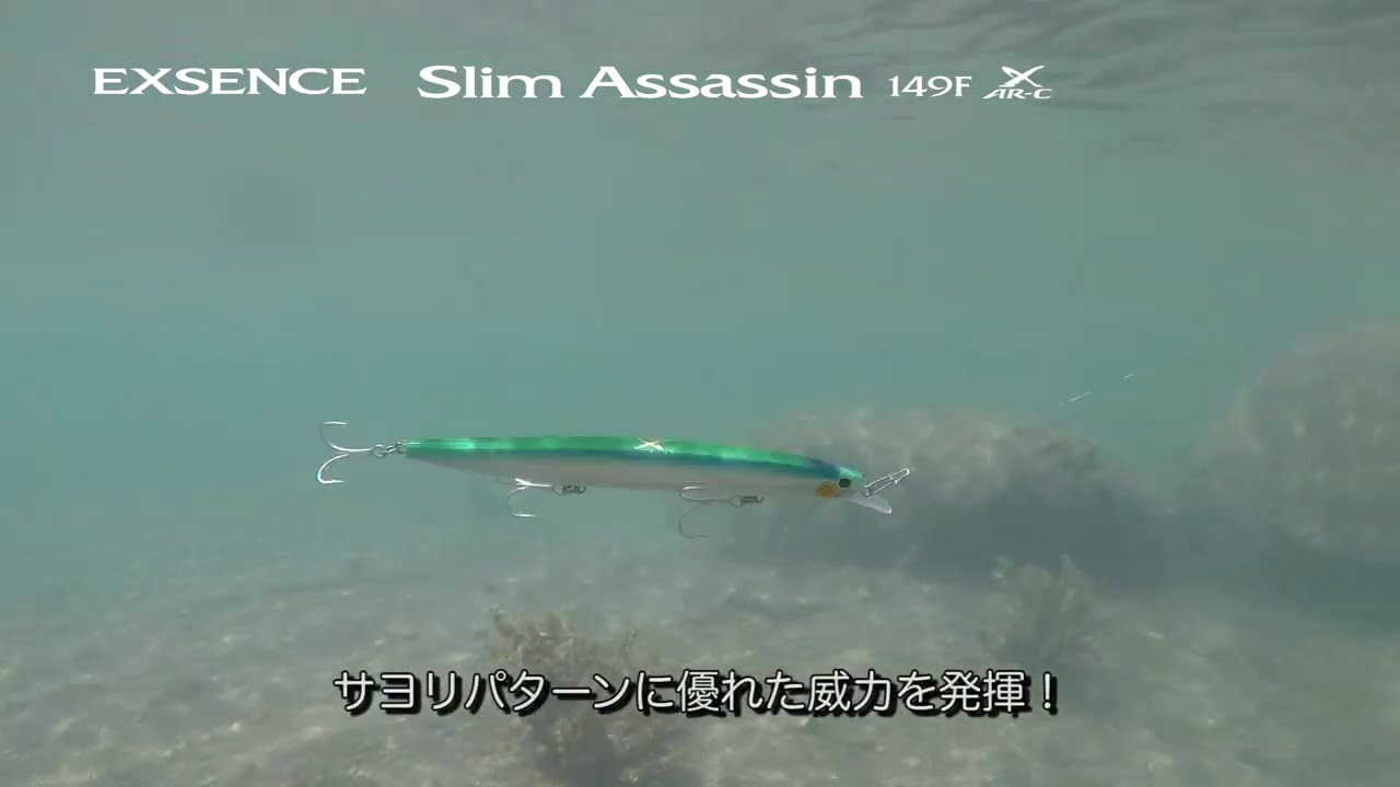  Shimano Exsence Slim Assassin