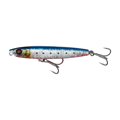 Pink Belly Sardine