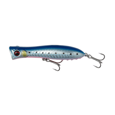 Pink Belly Sardine