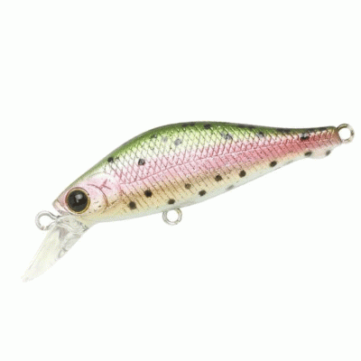 Laser Rainbow Trout