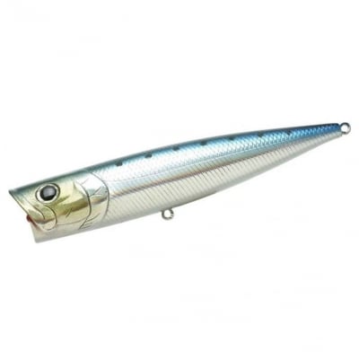 Metallic Sardine