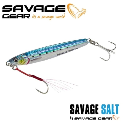 Sardine