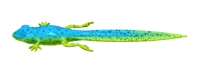 FROG - TADPOLE TAIL (попова лъжичка) 127 - LIME CHARTREUSE/BLUE