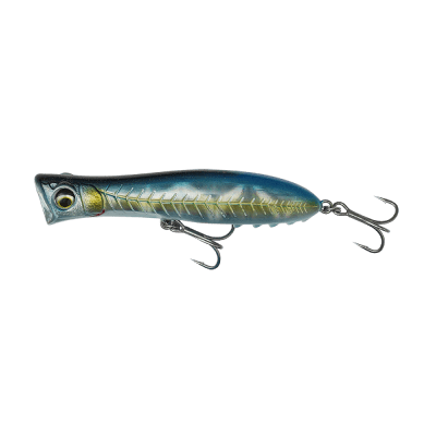 Imperial Sardine