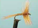 Red Quill