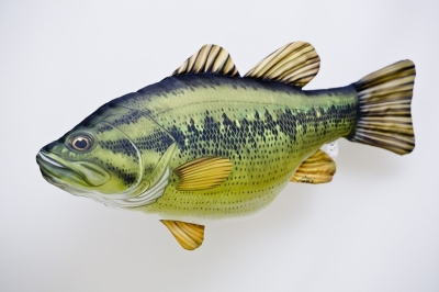 Gaby Black Bass