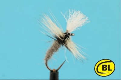 Grey Duster Emerger