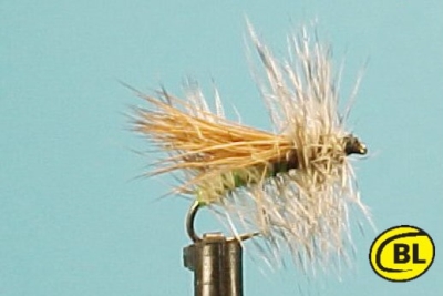 Fluttering Cadis Grizzley