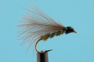 F-Fly Olive