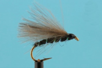 F-Fly Back