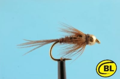 Pheasant Tail