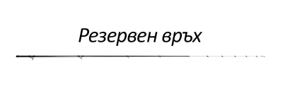 Връх/tip за 2.60m/ 20-100g