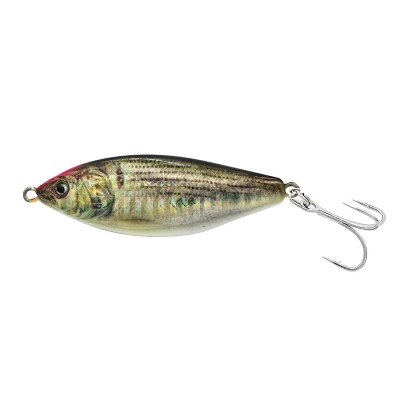 07 Chart Head Glow Zebra