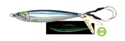 #07 Chart Head Sardine Glow Belly