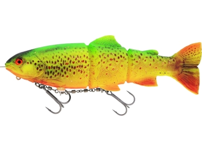 Firetiger Trout