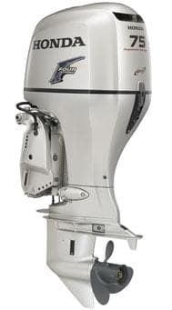 BF 75