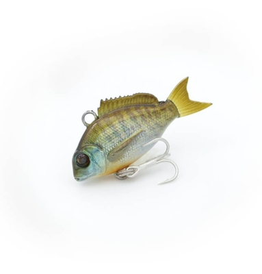 #05 - Blue Gill