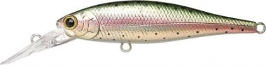 laser rainbow trout - dd