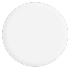 Pro-Tec Powder Paint Standard Боя за джиг глава Off White