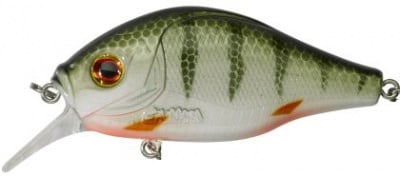 GREEN PERCH