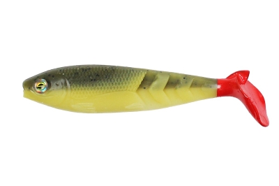 Red Tail Shad