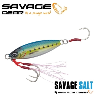 Sardine