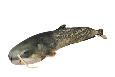 Gaby - Catfish Възглавничка 