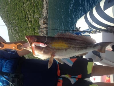 Риболов в Гърция Май 2018