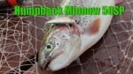 Lucky Craft Humpback Minnow 50SP риболов воблер
