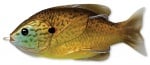 Livetarget Sunfish Topwater 76mm Воблер