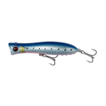 Pink Belly Sardine