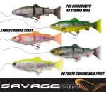 Savage Gear 4D Line Thru Trout 20cm 93g 1