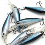 Lucky Craft Bevy Shad 50SP Silent 1