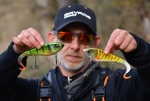 Savage Gear Deviator Tail
