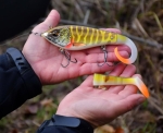 Savage Gear Deviator Tail