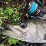 Sunline Siglon PE ADV X8 Blue 150m