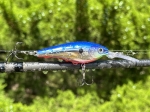 Rapala Harvest Shad 7cm