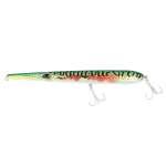 SW06