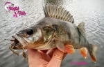 Crazy Fish CRAY FISH 4.5см улов 2