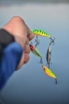 Rapala X-Light Minnow 2