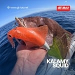 GT-Bio Kalamy Squid 2