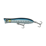 Sardine