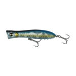 Imperial Sardine