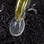 Golden Catch Hard Lure Tamer 120SP