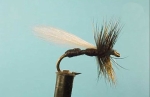 Dragon Мухи английски сухи Grey Duster Klinkhammer Black Ant
