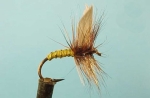 Dragon Мухи английски сухи Black Gnat Greenwell Glory