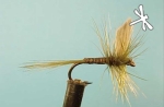 Dragon Мухи английски сухи Black Gnat Olive Quill
