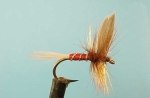 Dragon Мухи английски сухи Royal Coachman Red Spinner