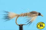 Gold Ribbed Hares Ear
